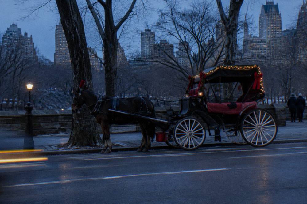 A bicycle rickshaw strung with warm white lights and red bows parked along Central Park South at dusk