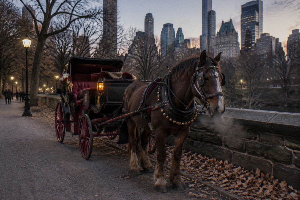 A lantern-lit horse-drawn carriage standing beside Central Park's low stone wall in early evening