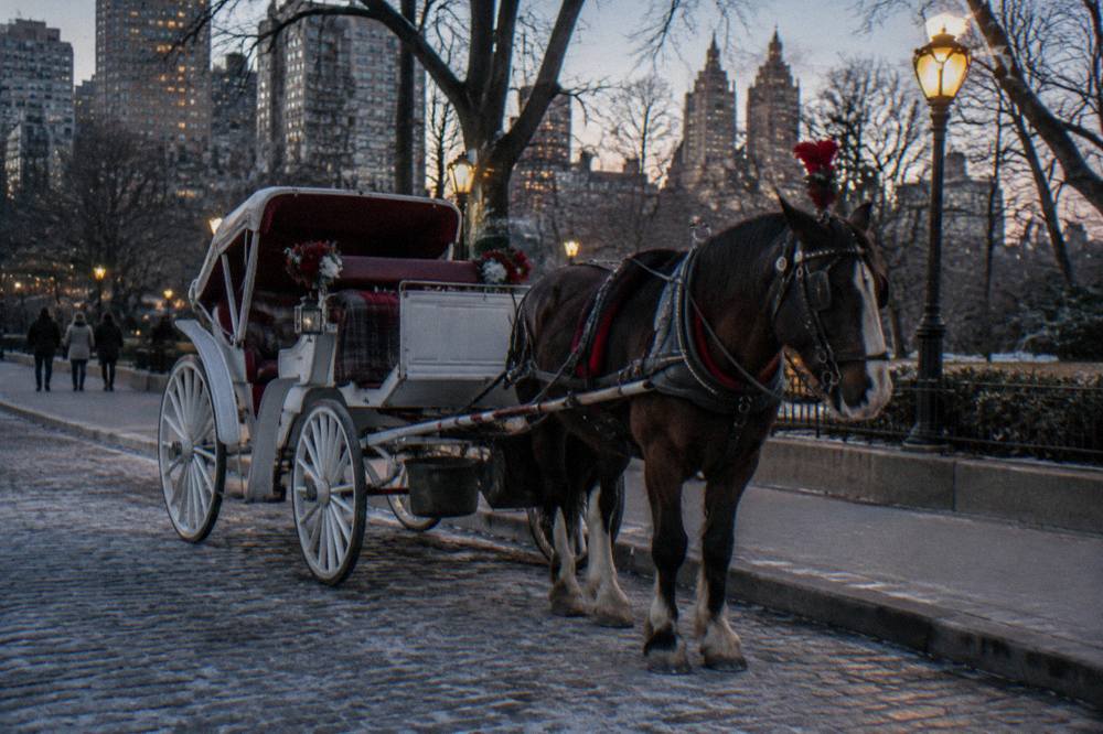 A decorated horse carriage waiting under streetlights beside Central Park in winter