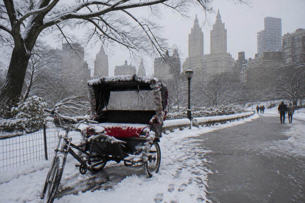 A festively decorated pedicab sleigh parked on a snowy path in Central Park