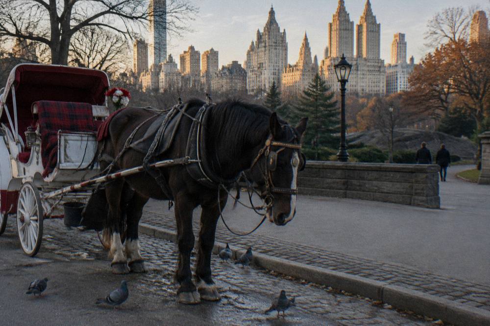 Horse-drawn carriage with a blanket-lined seat parked beside Central Park in early evening light