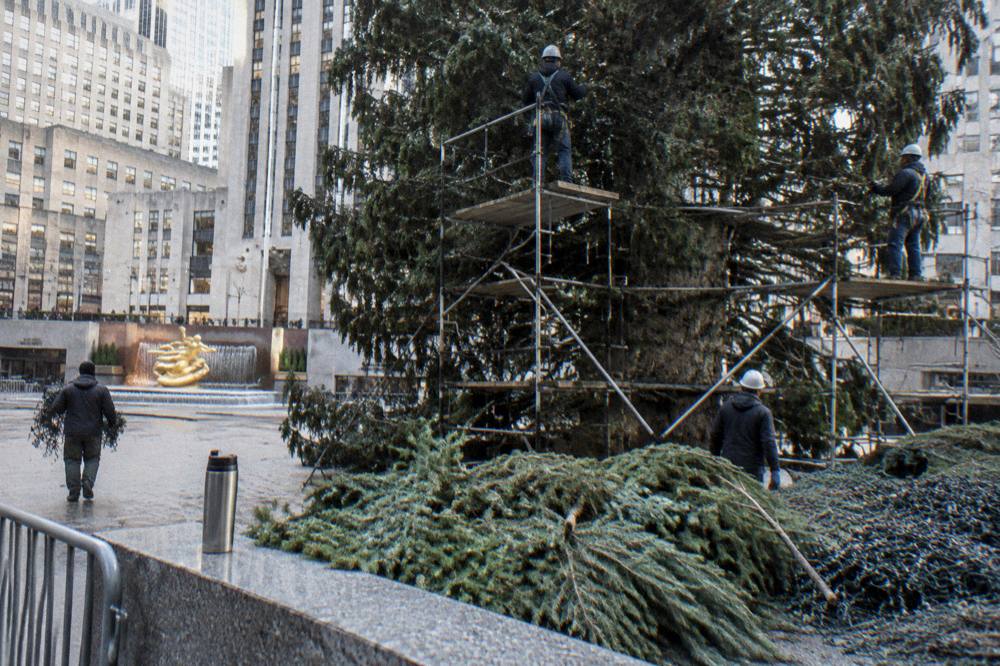 Bare scaffolding and crews dismantling a large Christmas tree on a plaza in daylight