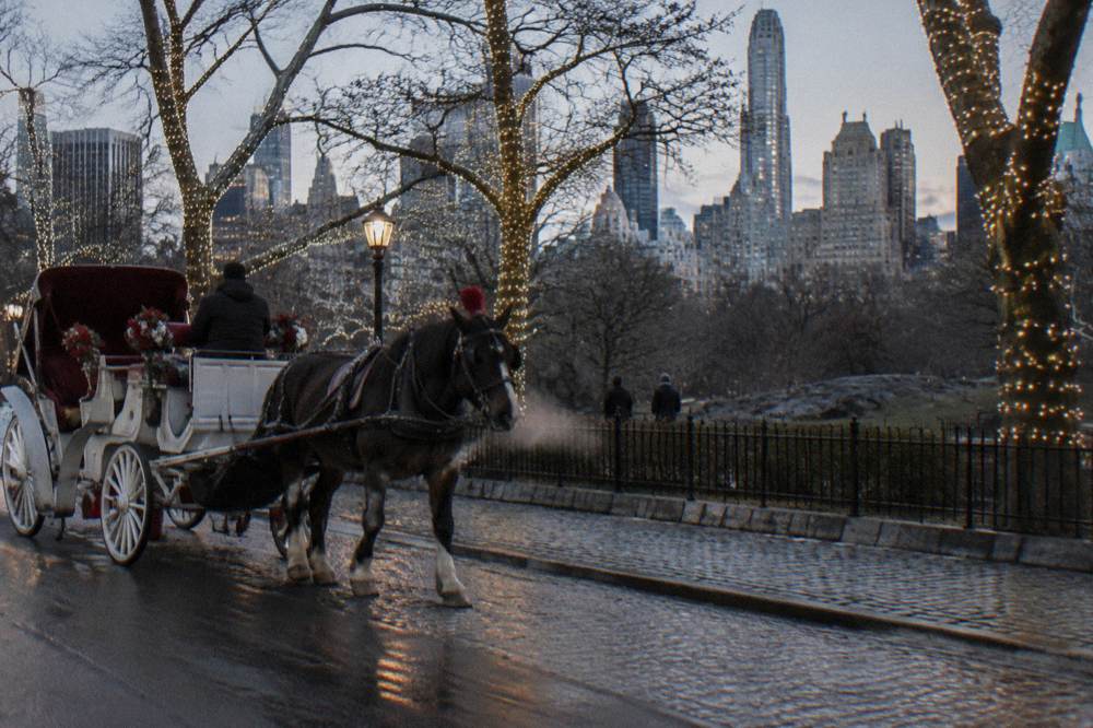 A horse-drawn carriage passing under trees strung with white lights beside Central Park