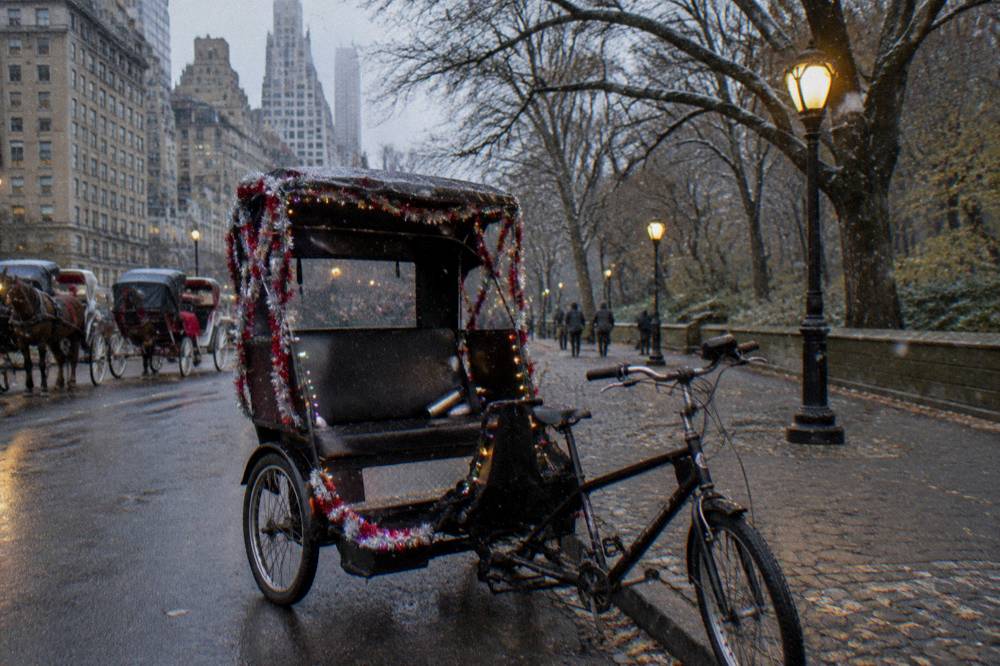 A decorated rickshaw with festive sleigh-style trim parked on Central Park South under holiday lights