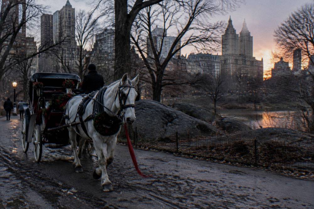 A horse-drawn carriage decorated with holiday lights waiting on a Central Park path at dusk