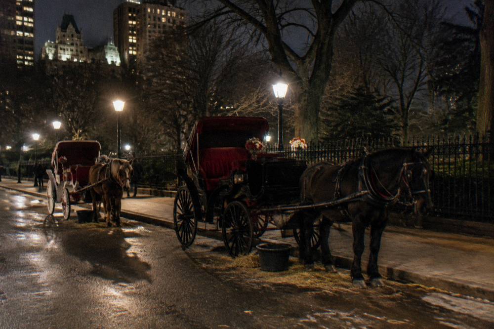 A horse-drawn carriage stand at night with holiday lights on surrounding buildings