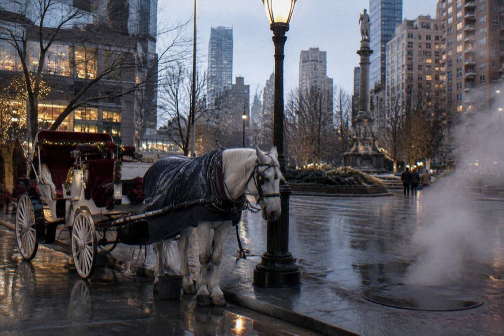 A decorated horse-drawn carriage standing under streetlights on a cold Manhattan evening