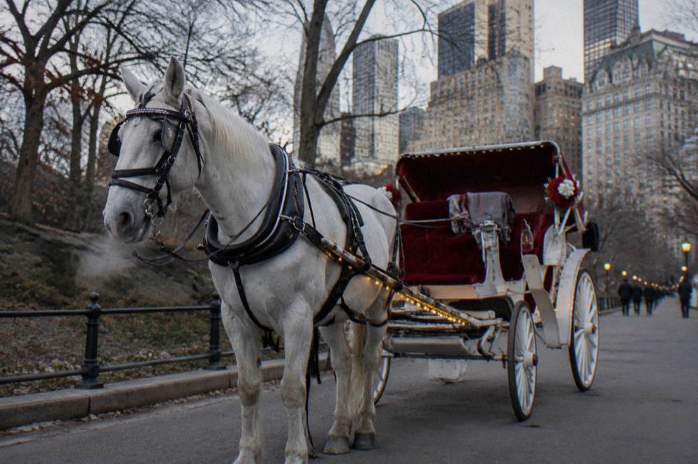Horse-drawn carriage parked on a Midtown street lined with holiday lights