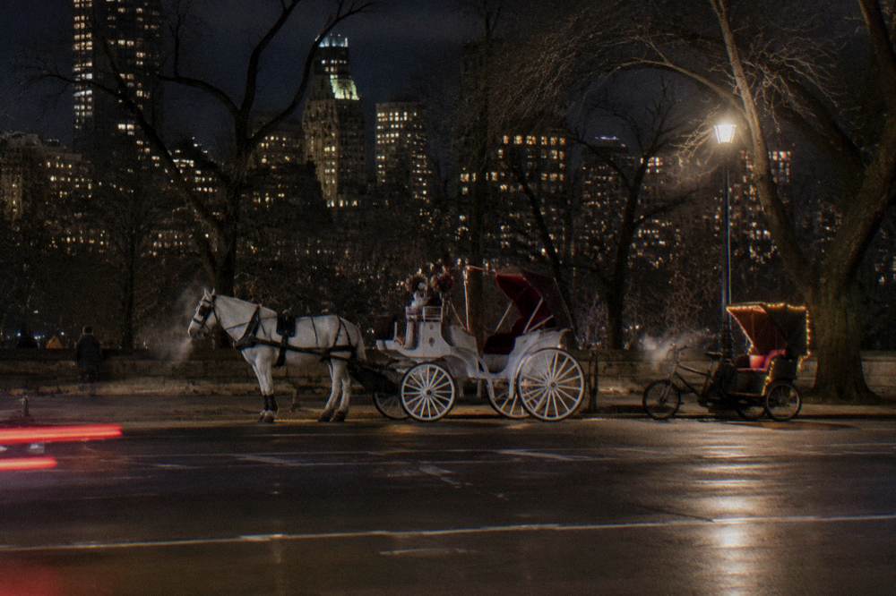 A horse-drawn carriage and a decorated pedicab both staged near Central Park South in the evening